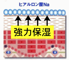 ヒアルロン酸Naでお肌を強力に保湿
