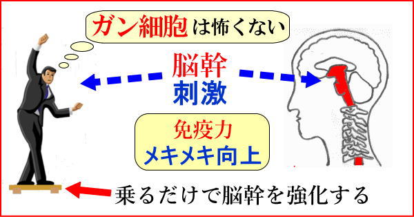 脳幹トレーニングバランサー